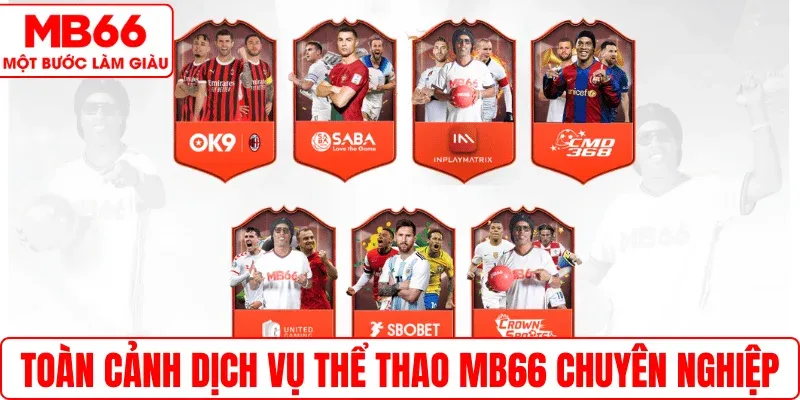 Toàn cảnh dịch vụ Thể thao MB66 chuyên nghiệp