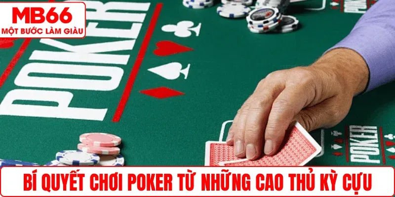 Bí quyết chơi Poker từ những cao thủ kỳ cựu