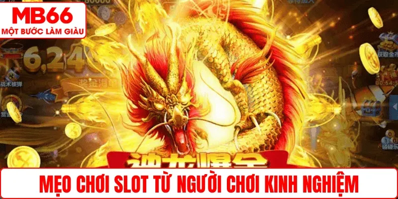 Mẹo chơi slot từ người chơi kinh nghiệm