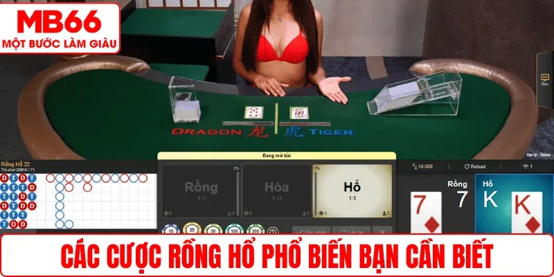 Các cược Rồng Hổ phổ biến bạn cần biết