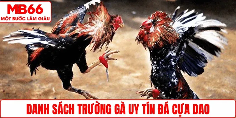 Danh sách trường gà uy tín đá cựa dao