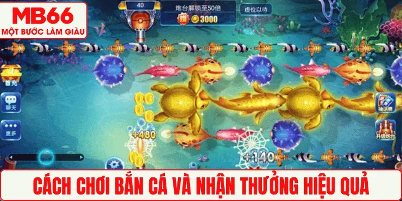 Cách chơi Bắn cá và nhận thưởng hiệu quả