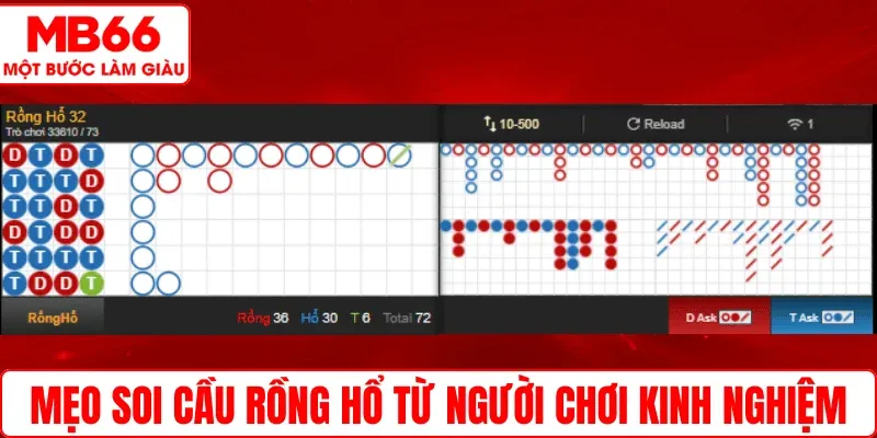 Mẹo soi cầu Rồng Hổ từ người chơi kinh nghiệm