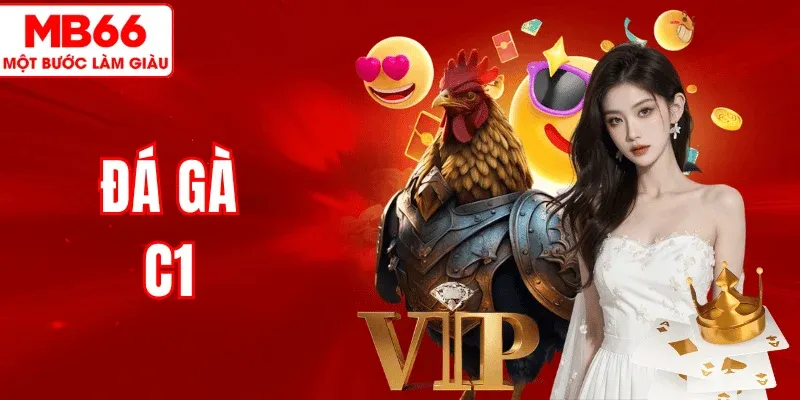 Hướng Dẫn Đá Gà C1 MB66 – Trận Đấu Nảy Lửa, Tỷ Lệ Thắng Cao