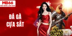 Chơi Đá Gà Cựa Sắt MB66 – Kịch Tính, May Mắn Bùng Nổ