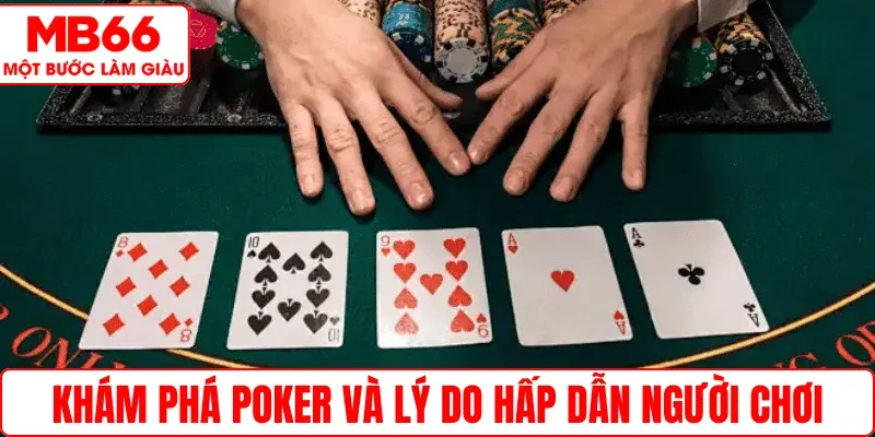Khám phá Poker và lý do hấp dẫn người chơi