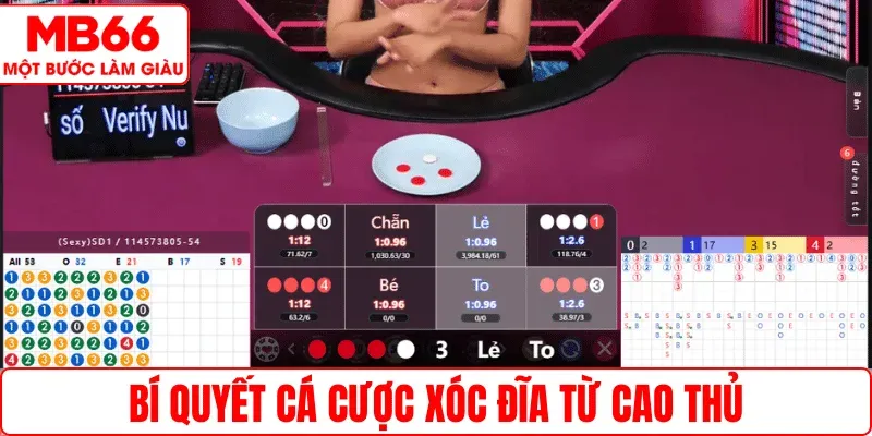 Bí quyết cá cược Xóc Đĩa từ cao thủ