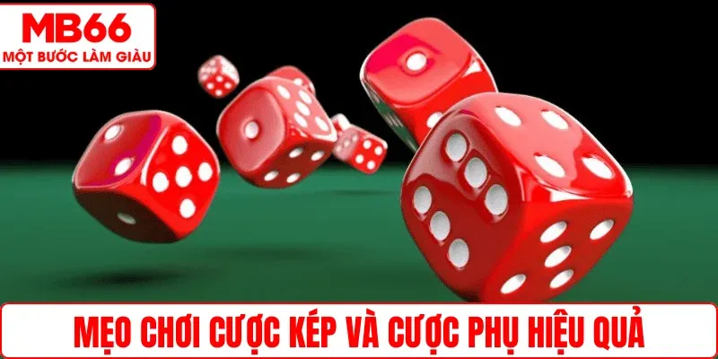 Mẹo chơi cược kép và cược phụ hiệu quả